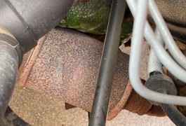 Bombeiros resgatam iguana encontrada dentro de carro em Arapiraca