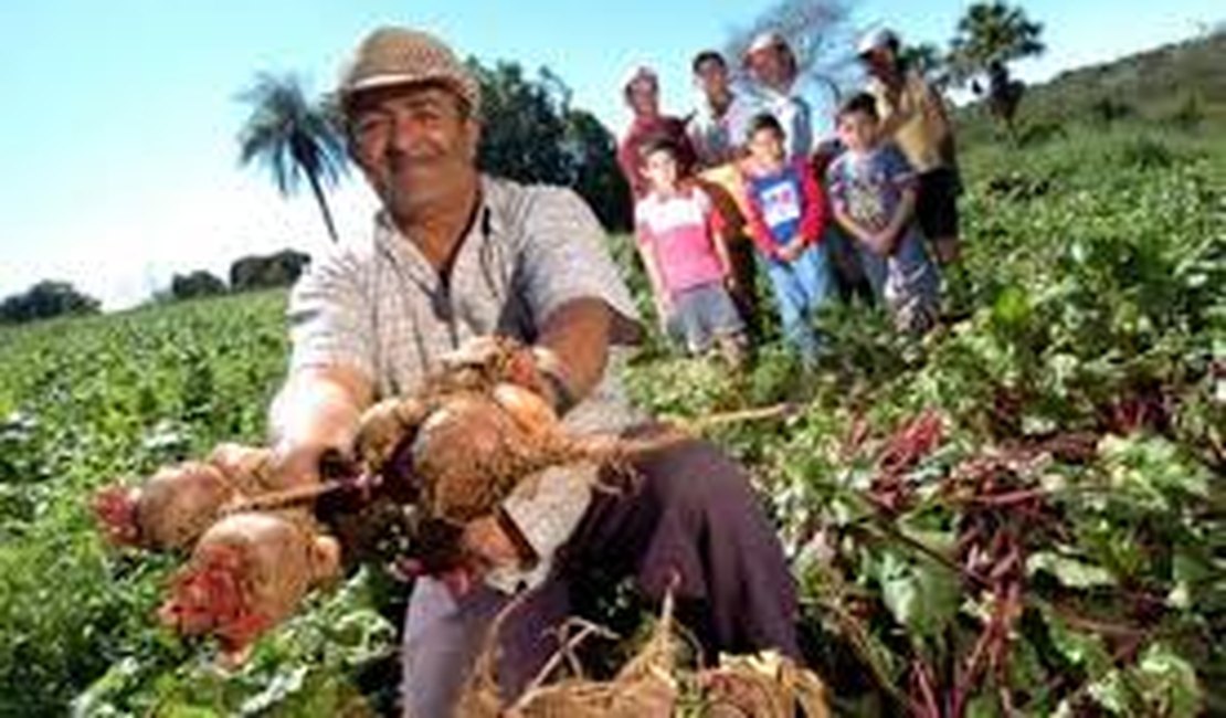 Com investimento de R$ 2 milhões, agricultura familiar irá abastecer hospitais alagoanos