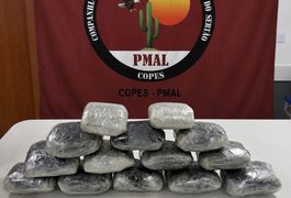Operação Protetor Divisas apreende quase 8 kg de maconha escondidos em Mercedes-Benz na BR-316