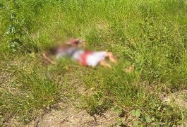 Adolescente de 15 anos é morto a facadas e pedradas nos fundos de um colégio em Maceió