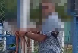 Tutor de cães que invadiram casa e mataram dois animais é identificado e pode ser indiciado em Penedo