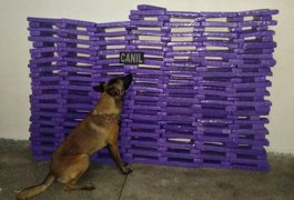 Canil, Cisp de São Sebastião e PRF apreendem mais de 190kg de maconha durante abordagem, em São Sebastião