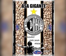 Parceria entre Gigantes: Produtos Tio Vieira e ASA