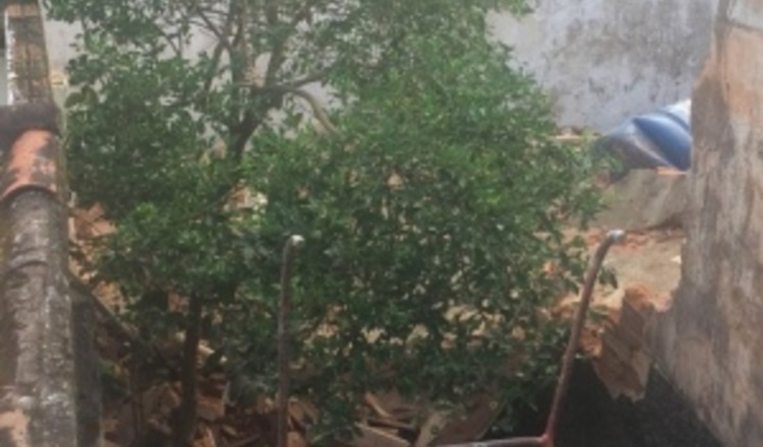 Criança de 5 anos fica ferida após laje de residência desabar em Maceió