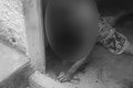 Homem é assassinado a tiros dentro da casa de amigo, em Maceió