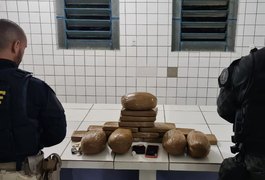 Operação integrada apreende 17 kg de maconha em São José da Laje