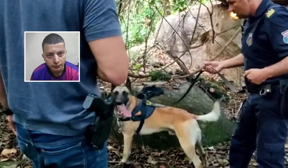 Suspeito de matar estudante da Unicamp com 28 facadas confessa crime, diz delegado