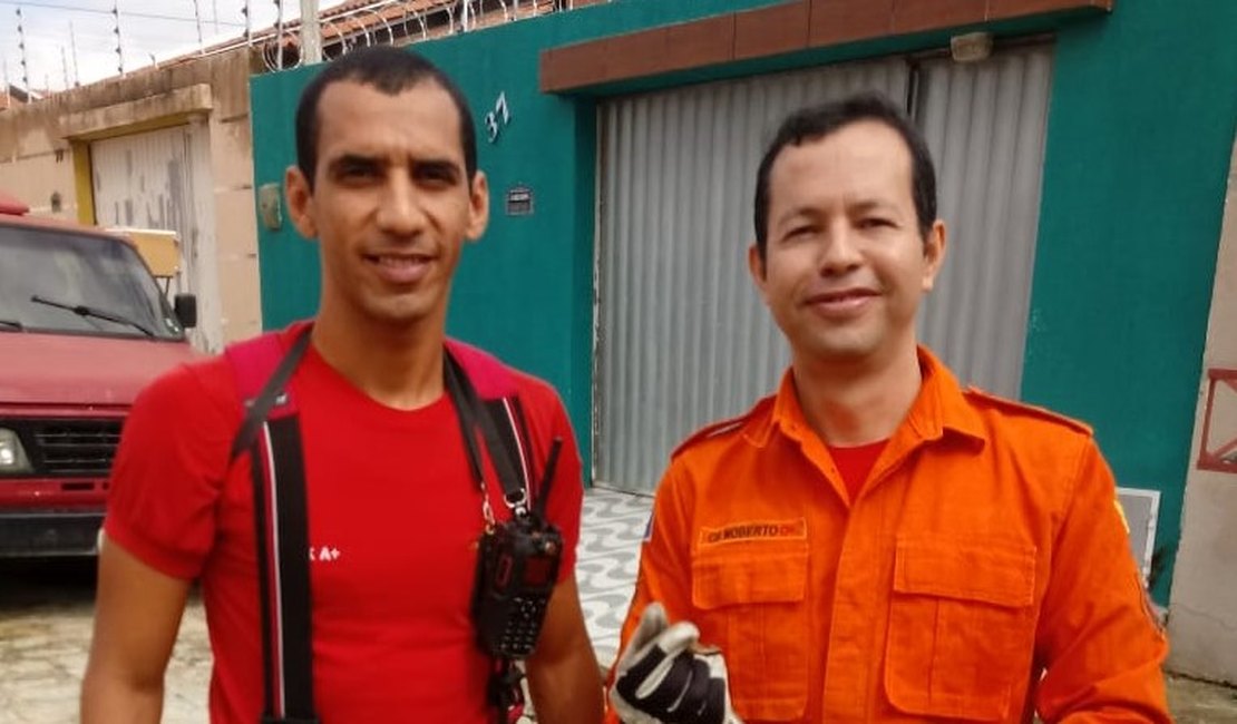 Bombeiros capturam serpente em geladeira de residência em Arapiraca