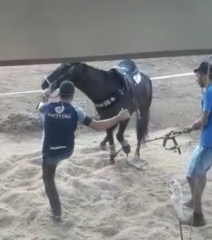Vaqueiro pernambucano popular nas redes sociais é flagrado chutando cabeça de cavalo; ASSISTA