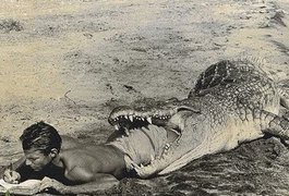 'Você vai torcer para o jacaré ou para o Tarzan'?