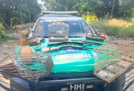Polícia Militar apreende aves silvestres, armas e armadilhas de caça em Porto de Pedras