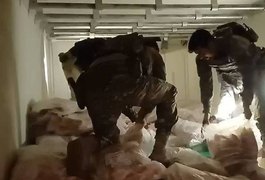 PRF aprende 5,3 toneladas de maconha congelada em carga de peixe