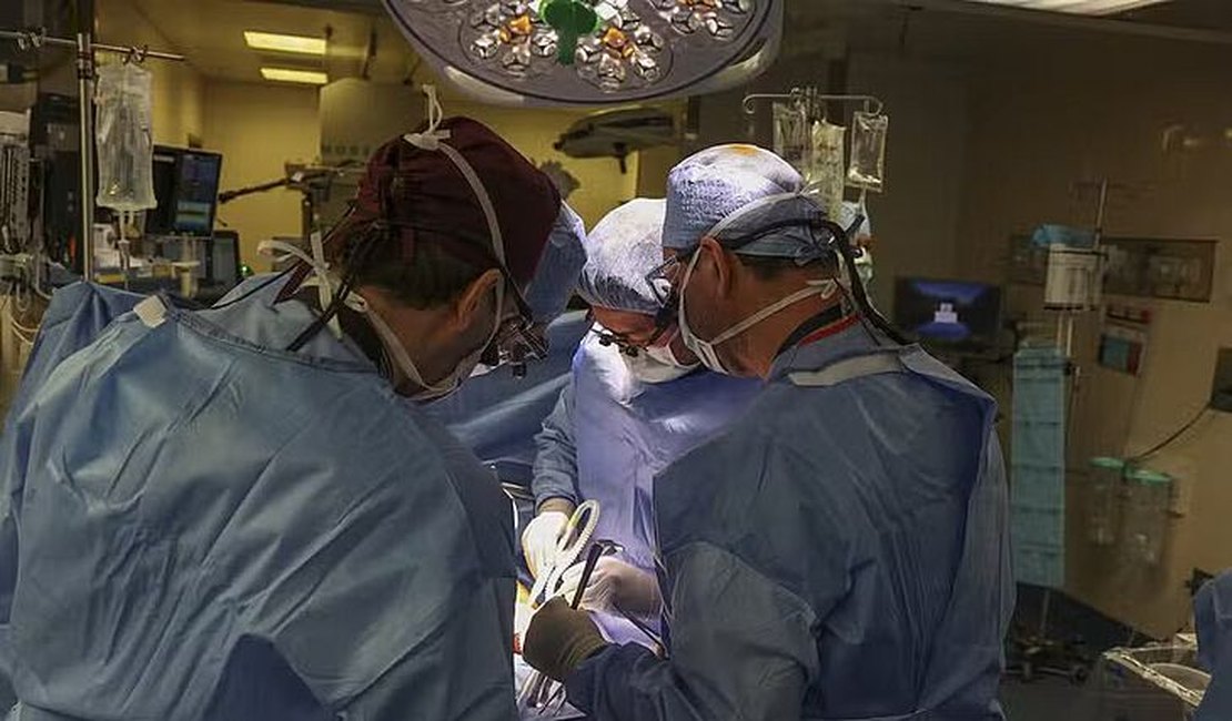 Transplante renal inédito de porco para um paciente vivo é realizado nos EUA