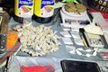 Local usado para preparo de drogas é descoberto pela PM em Maceió