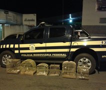 Polícia Rodoviária Federal prende cinco pessoas no Sertão de Alagoas