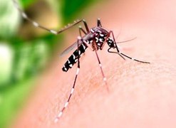 Saúde orienta população sobre cuidados com casas e empresas fechadas durante o Carnaval