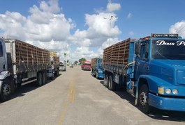 Sefaz autua carregamentos com 60 mil tijolos sem documento fiscal em Arapiraca