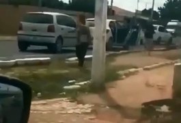 Vídeo. Enxame de abelhas ataca populares no Centro de cidade do Sertão pernambucano