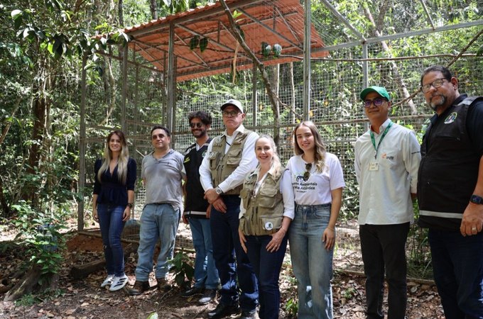 Papagaios-do-mangue e jabutis chegam a Alagoas com missão de contribuir para refaunação e replantio de florestas em área de Mata Atlântica
