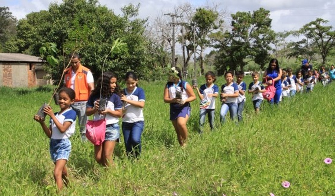 Secretárias se unem para levar temática ambiental às escolas estaduais