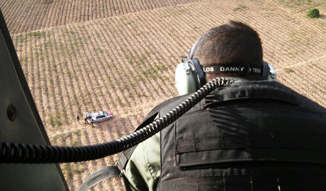 Policiais do 3° BPM localizam chassis de motos roubadas em plantações, em Lagoa da Canoa