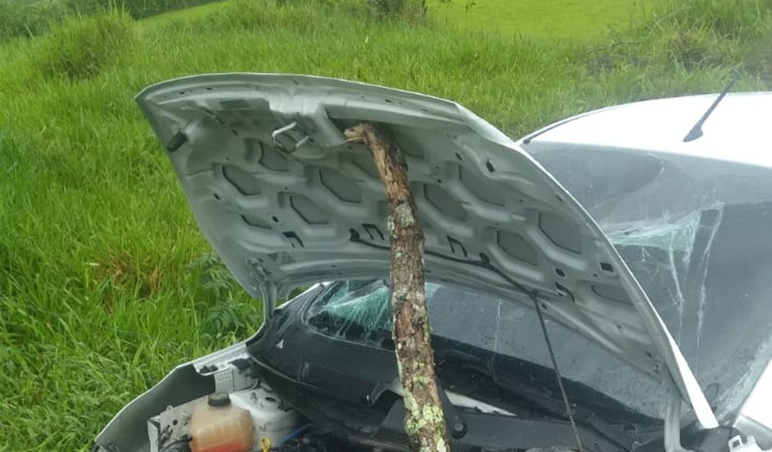 Motorista fica ferido em batida entre dois carros na BR-316, em Atalaia