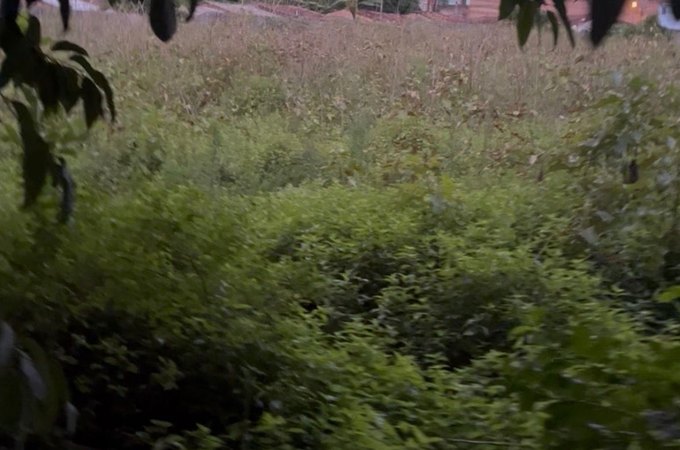 Homem é morto a tiros em terreno baldio na região do Distrito Industrial, em Maceió