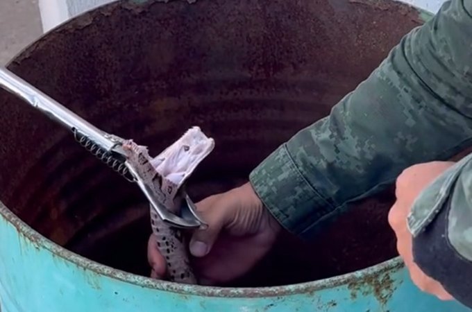 VÍDEO: Polícia Ambiental é acionada e realiza resgate de jiboia em Marechal Deodoro