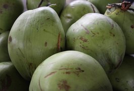 Homem xinga crianças, rouba cocos que elas ganharam e ameaça vizinha que tirou satisfação, em Arapiraca