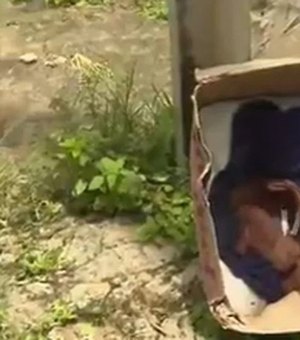 Populares encontram recém-nascido em caixa de papelão, encostada em poste