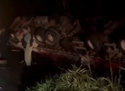 Imagens mostram saque de carga de carne após capotamento de carreta na BR-101, em Alagoas