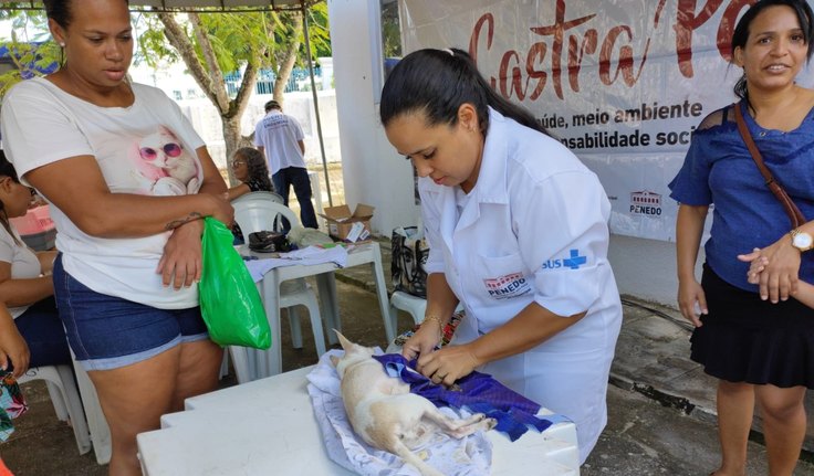 Programa Castra Pet abre novo cadastro em Penedo na próxima segunda-feira, 10