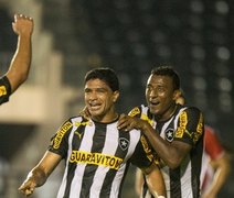 Botafogo vence e é novo líder do Brasileirão