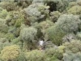 Bombeiros avaliam terreno para retirar corpos de destroços de helicóptero com cantor Rick em SC