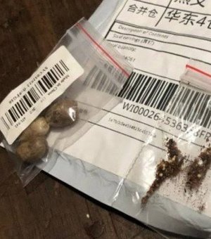 Alagoanos recebem encomendas contendo sementes da China