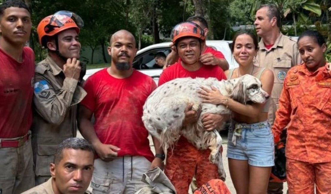 Cachorro da cantora Anitta se assusta com fogos, cava buraco na mansão e é resgatado por bombeiros no RJ