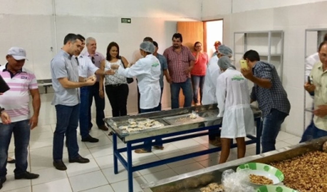 Fábrica de castanhas fortalece economia de pequenos produtores no Agreste