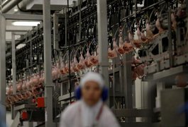 Chile, China e Egito anunciam retomada da importação de carne brasileira