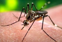 Pesquisa da USP desenvolve aparelho que detecta dengue em 20 minutos