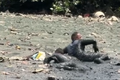 VÍDEO: Dois homens ficam presos em mangue durante perseguição policial em Olinda