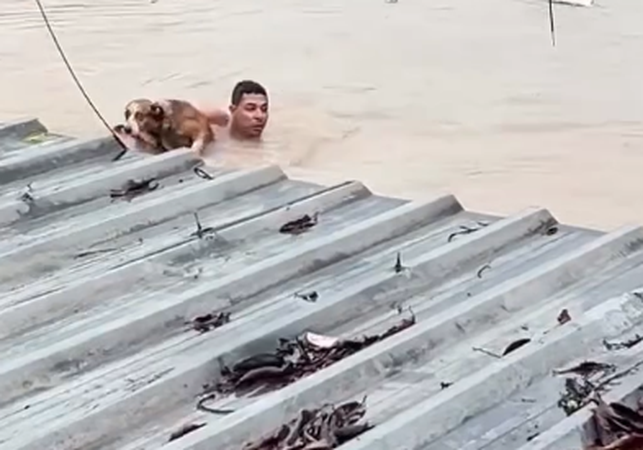 VÍDEO: Homem salva vida de cachorro durante inundação em bairro de Olinda