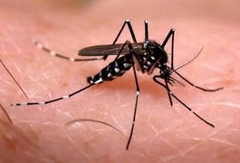 Anvisa aprova registro da primeira vacina contra a dengue no Brasil