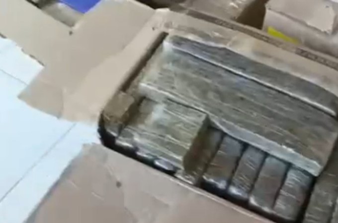 Cerca de 400kg de maconha são apreendidos em chácara às margens da AL-220, em Arapiraca