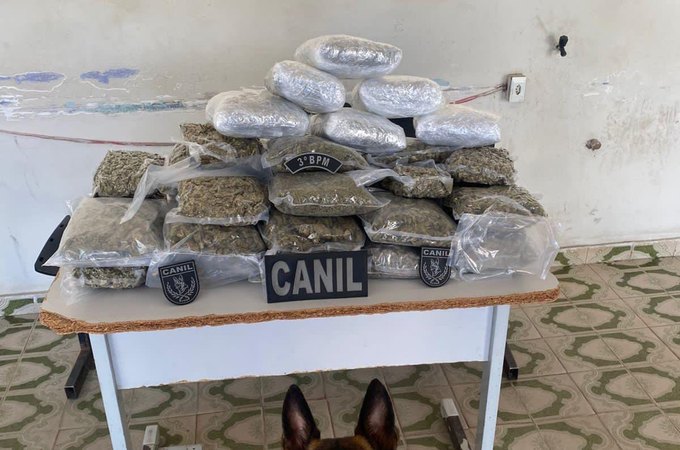 Polícia Militar apreende mais de 10 kg de maconha em mala abandonada dentro de ônibus em Arapiraca