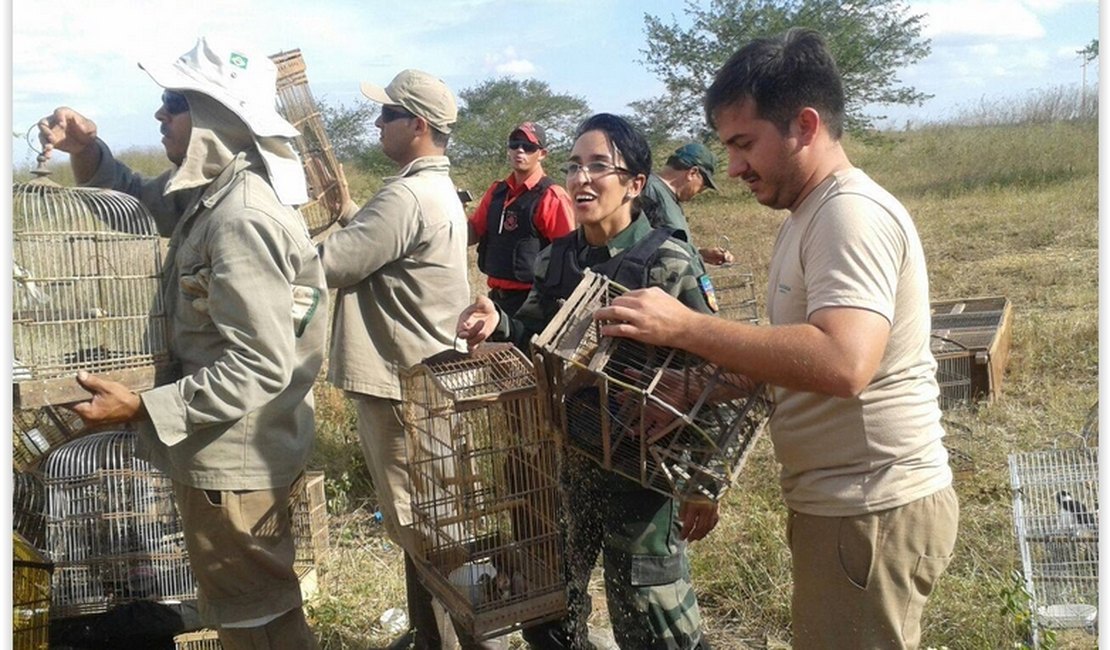 Casal é multada em R$ 3 milhões; armadilhas de pesca são apreendidas e pássaros soltos