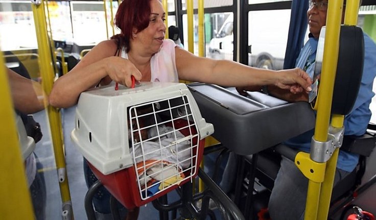 Proposta garante embarque de animais domésticos em todos os meios de transporte