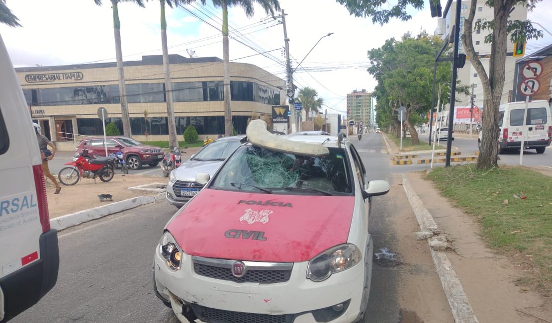 Vídeo. Homem fica ferido após colisão de moto em viatura da polícia, em Arapiraca