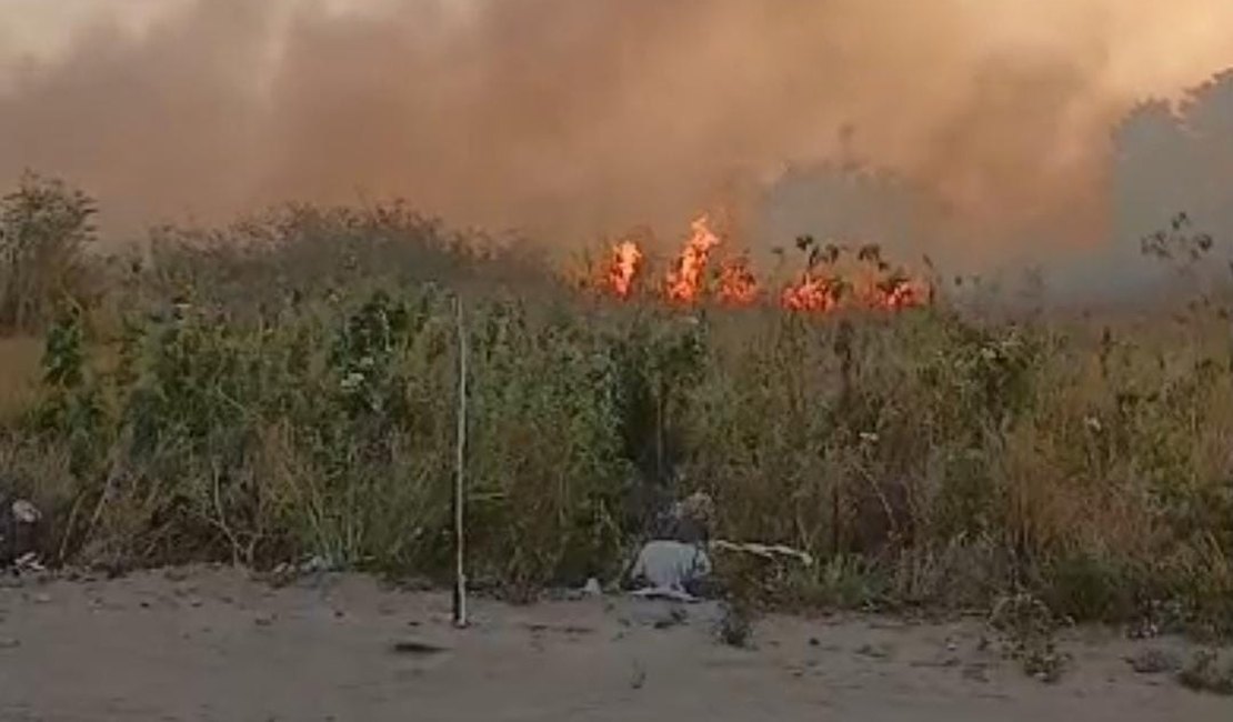 Incêndio em vegetação assusta moradores no bairro Baixa Grande, em Arapiraca