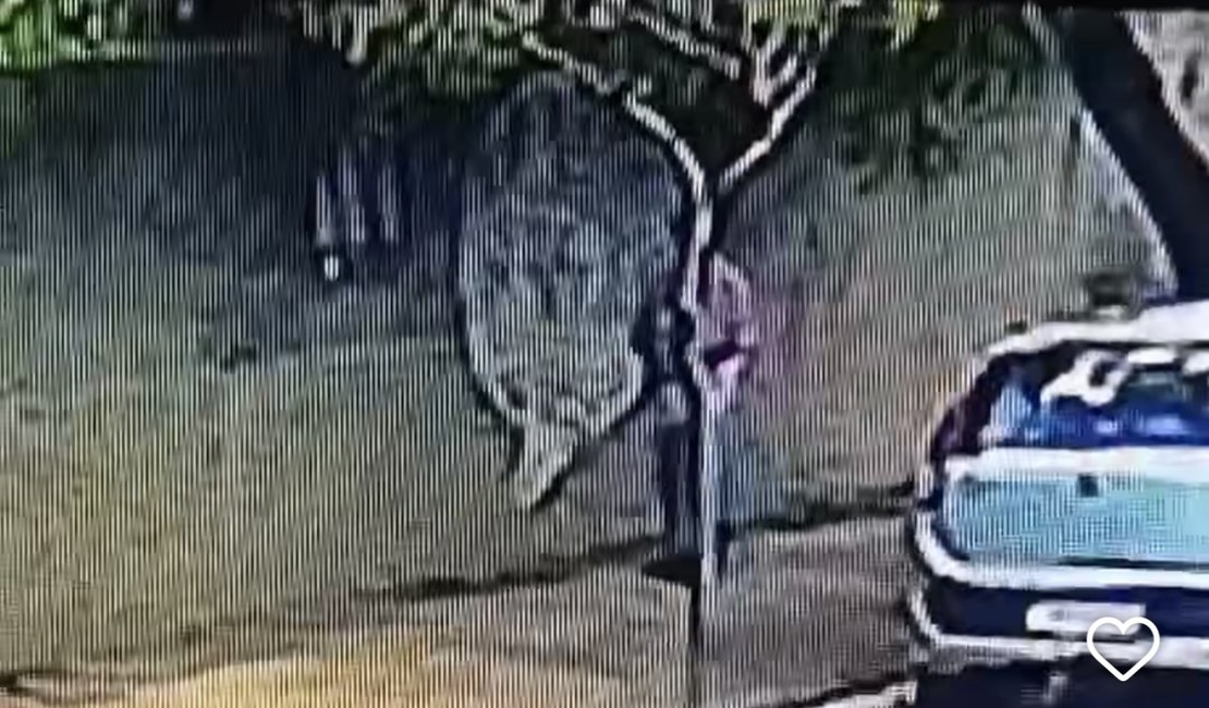 Moradores denunciam homem suspeito de danificar carros no Alto do Cruzeiro, em Arapiraca