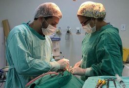 Hospital Regional de Arapiraca vira referência em cirurgia da face